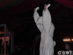 Eisbär